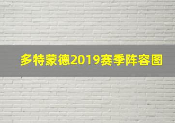 多特蒙德2019赛季阵容图