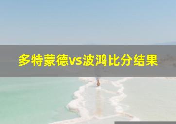 多特蒙德vs波鸿比分结果