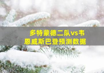 多特蒙德二队vs韦恩威斯巴登预测数据