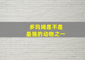 多玛姆是不是最强的动物之一