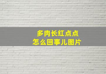 多肉长红点点怎么回事儿图片