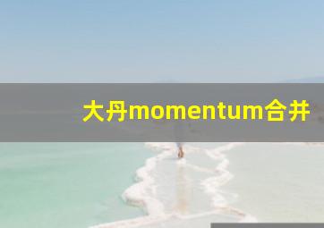 大丹momentum合并