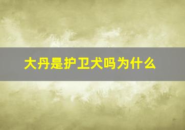 大丹是护卫犬吗为什么