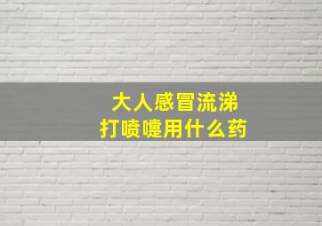 大人感冒流涕打喷嚏用什么药