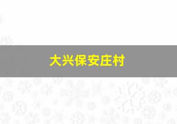 大兴保安庄村