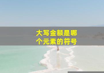 大写金额是哪个元素的符号