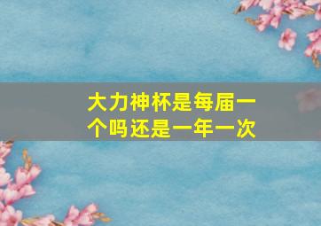 大力神杯是每届一个吗还是一年一次