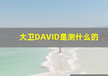 大卫DAVID是测什么的