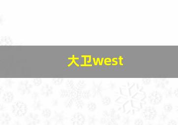 大卫west