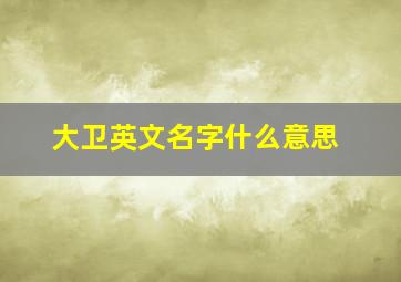 大卫英文名字什么意思