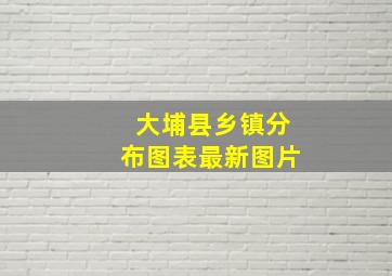 大埔县乡镇分布图表最新图片