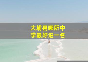 大埔县哪所中学最好进一名