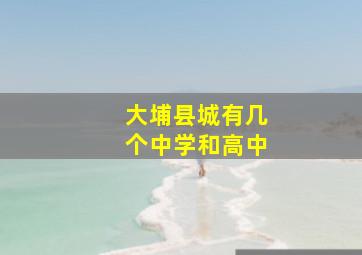 大埔县城有几个中学和高中