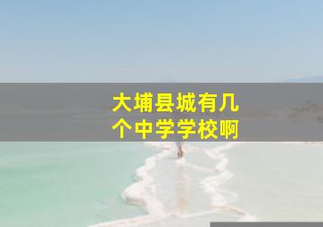 大埔县城有几个中学学校啊