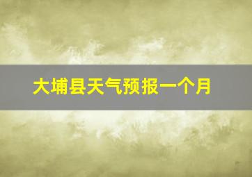 大埔县天气预报一个月