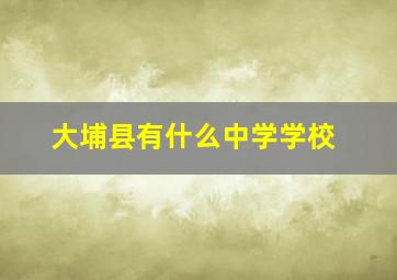 大埔县有什么中学学校