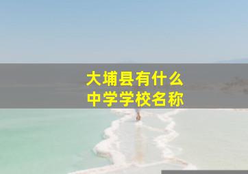 大埔县有什么中学学校名称