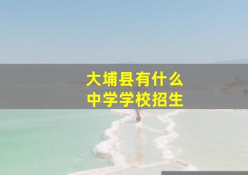 大埔县有什么中学学校招生