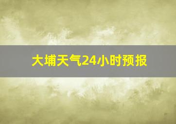 大埔天气24小时预报