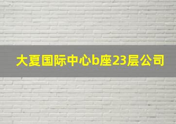 大夏国际中心b座23层公司