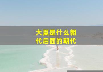 大夏是什么朝代后面的朝代