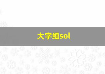 大字组sol