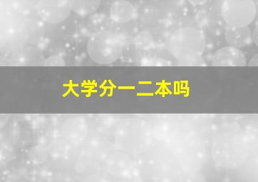 大学分一二本吗