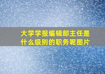 大学学报编辑部主任是什么级别的职务呢图片