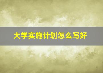 大学实施计划怎么写好