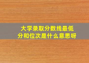 大学录取分数线最低分和位次是什么意思呀