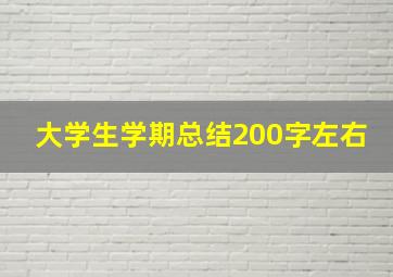 大学生学期总结200字左右