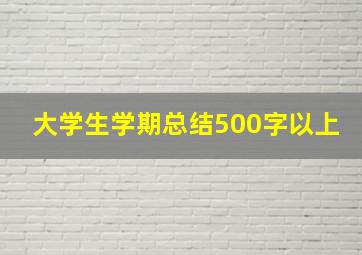 大学生学期总结500字以上