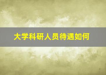 大学科研人员待遇如何