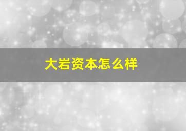 大岩资本怎么样