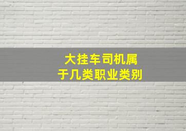 大挂车司机属于几类职业类别