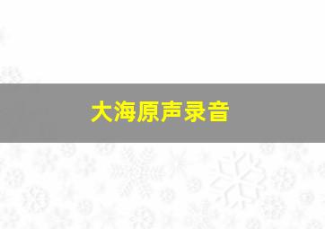 大海原声录音