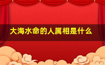 大海水命的人属相是什么