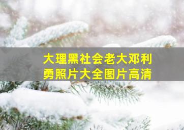 大理黑社会老大邓利勇照片大全图片高清