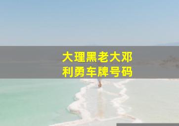 大理黑老大邓利勇车牌号码