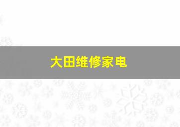 大田维修家电