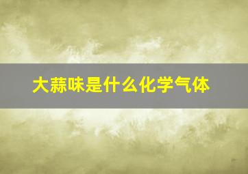 大蒜味是什么化学气体