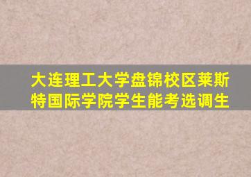 大连理工大学盘锦校区莱斯特国际学院学生能考选调生