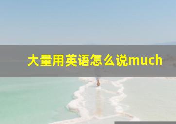 大量用英语怎么说much