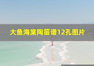 大鱼海棠陶笛谱12孔图片