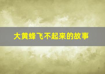 大黄蜂飞不起来的故事