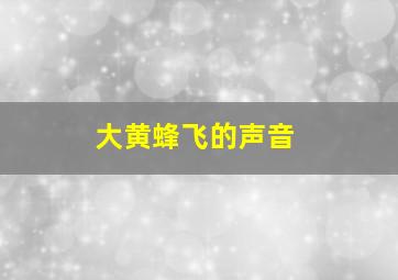 大黄蜂飞的声音