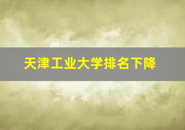 天津工业大学排名下降