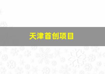 天津首创项目