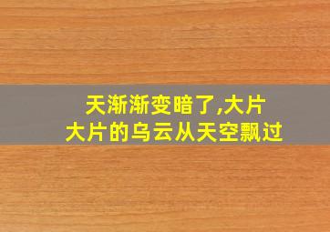 天渐渐变暗了,大片大片的乌云从天空飘过