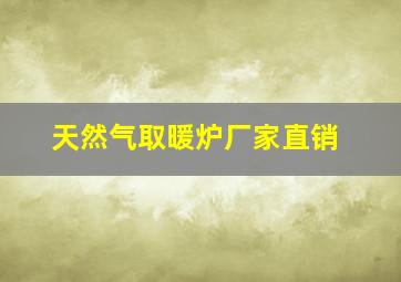 天然气取暖炉厂家直销